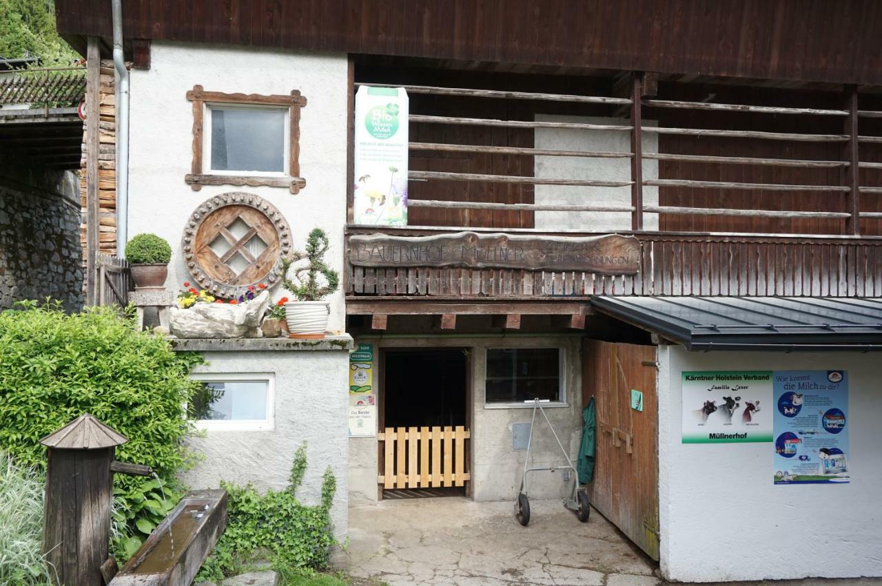 Apartament Musikhof Lexer Liesing Zewnętrze zdjęcie